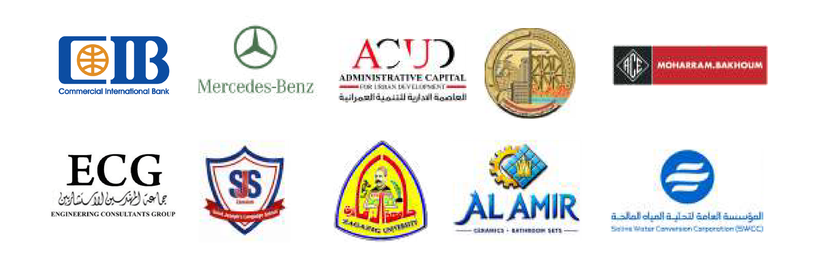 Strategic Partners and Financial Institutions